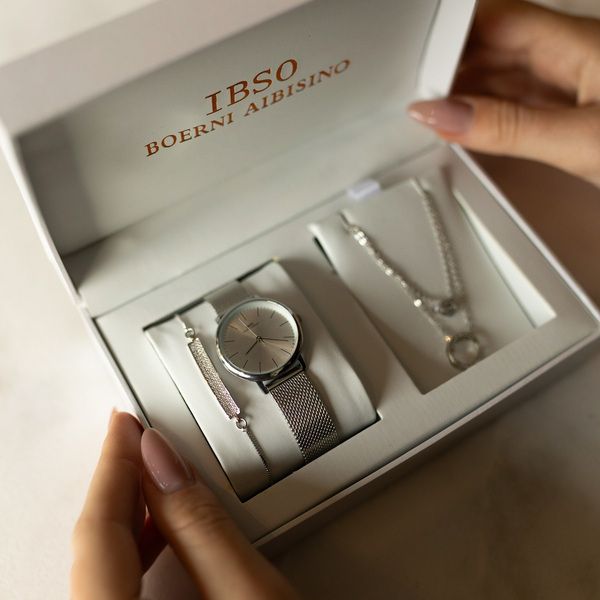 Baosaili BOX IBSO Silver 1566 фото